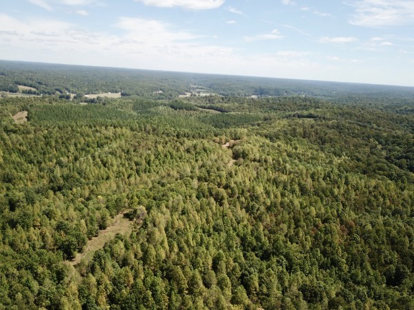 0 Richland Ridge Road Waverly TN 37185