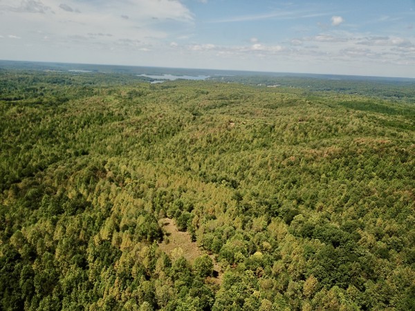 0 Richland Ridge Road Waverly TN 37185
