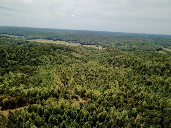 0 Richland Ridge Road Waverly TN 37185