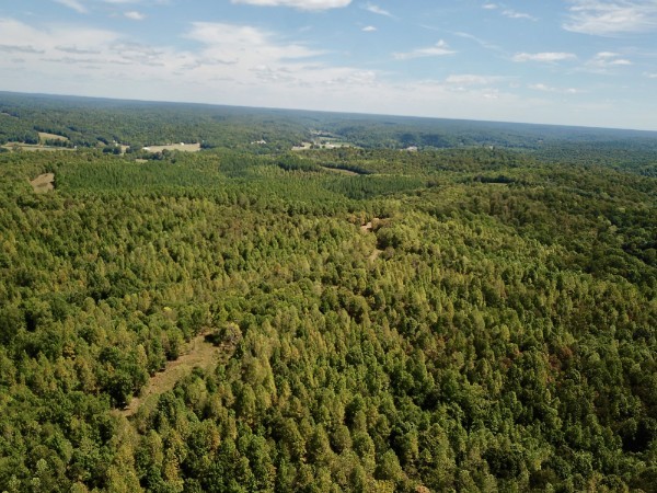 0 Richland Ridge Road Waverly TN 37185