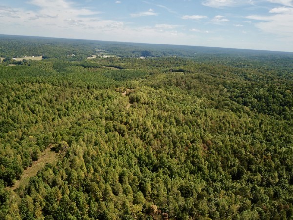 0 Richland Ridge Road Waverly TN 37185