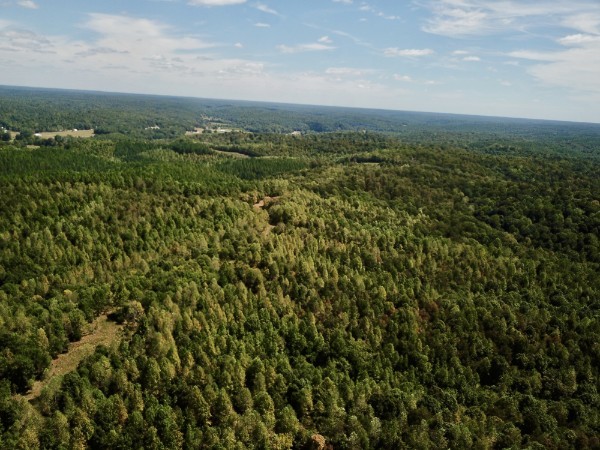 0 Richland Ridge Road Waverly TN 37185