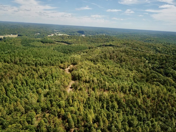 0 Richland Ridge Road Waverly TN 37185