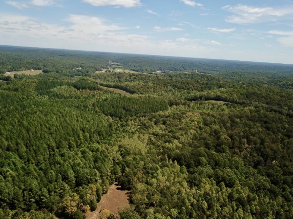 0 Richland Ridge Road Waverly TN 37185