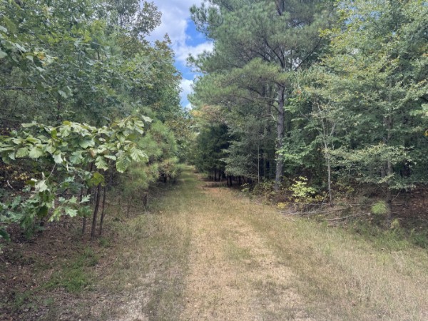 0 Richland Ridge Road Waverly TN 37185