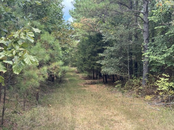 0 Richland Ridge Road Waverly TN 37185