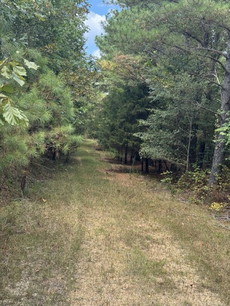 0 Richland Ridge Road Waverly TN 37185