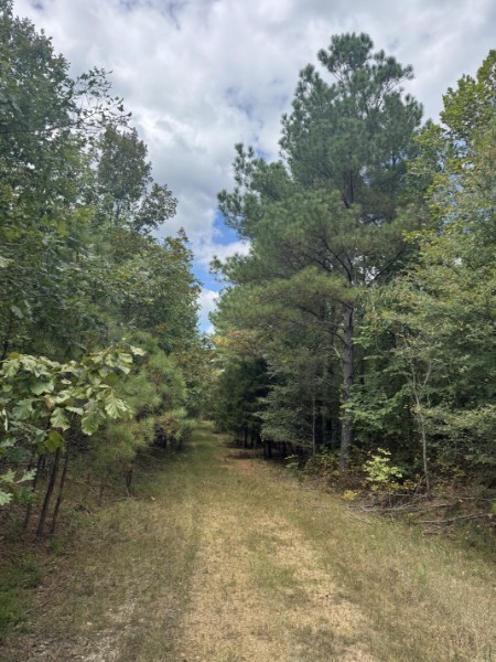 0 Richland Ridge Road Waverly TN 37185