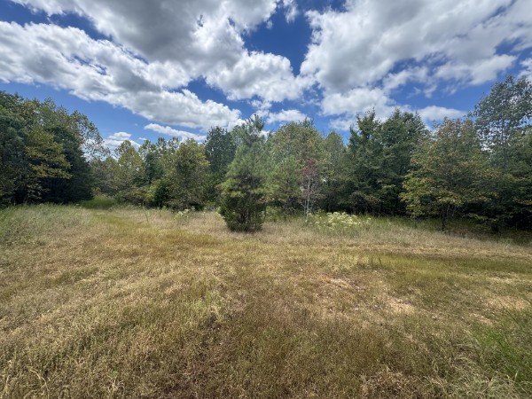 0 Richland Ridge Road Waverly TN 37185