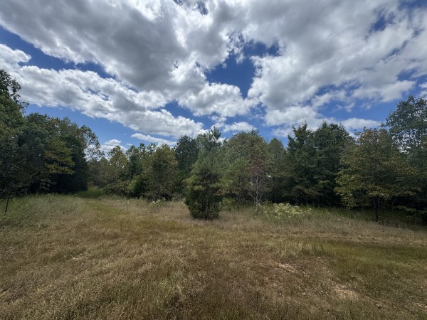 0 Richland Ridge Road Waverly TN 37185