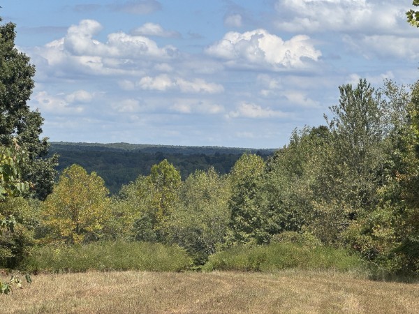0 Richland Ridge Road Waverly TN 37185