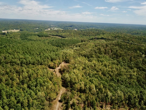 0 Richland Ridge Road Waverly TN 37185