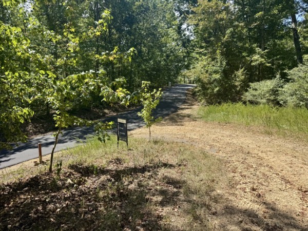 0 Richland Ridge Road Waverly TN 37185