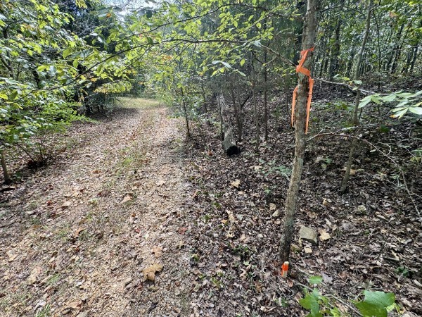 0 Richland Ridge Road Waverly TN 37185