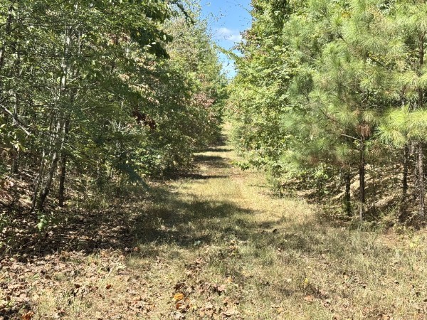 0 Richland Ridge Road Waverly TN 37185