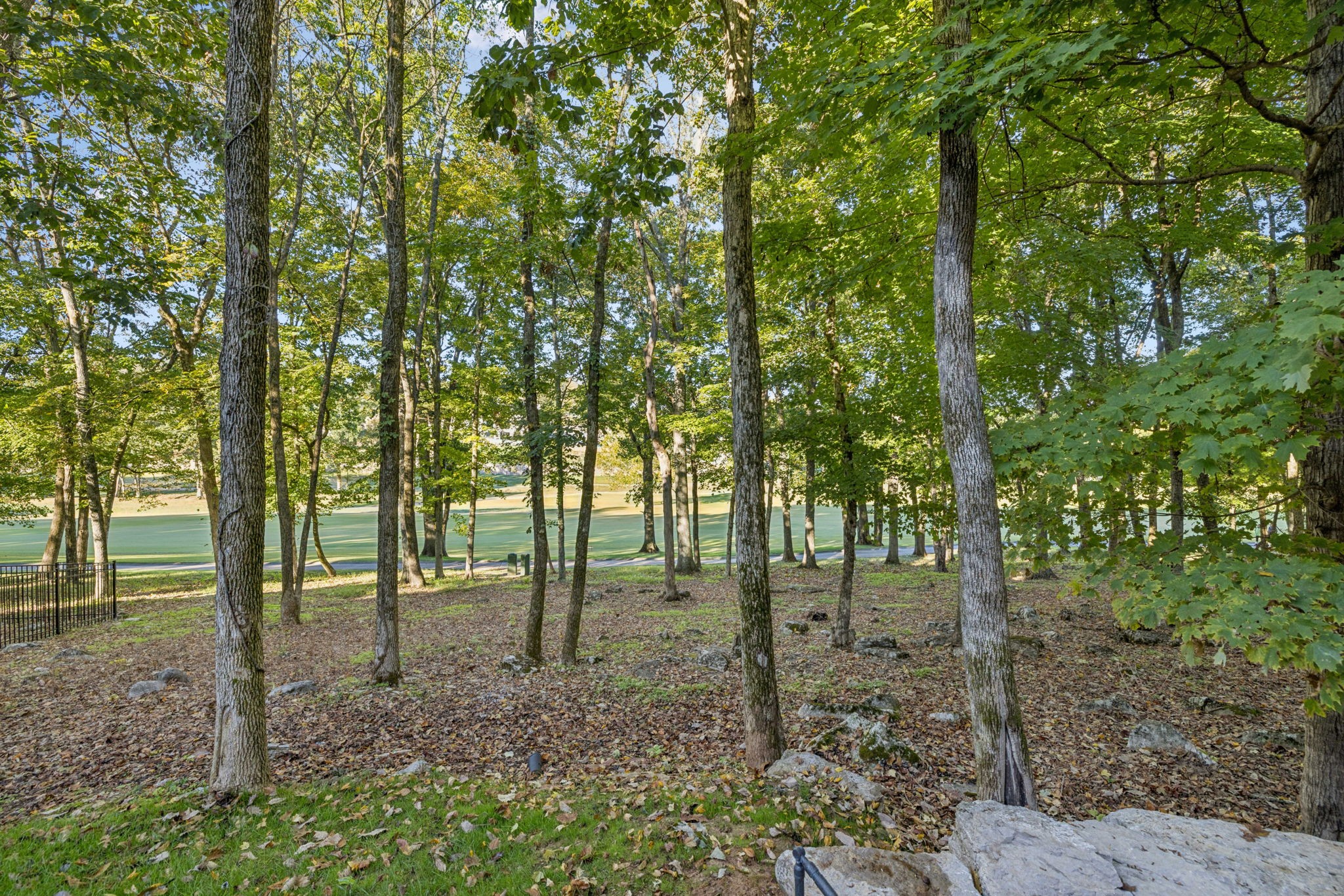 8463 Heirloom Boulevard College Grove TN 37046