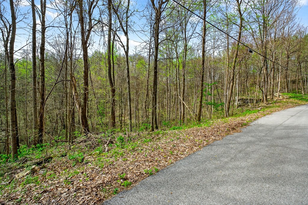 0 White Oak Flatt Road Sparta TN 38583
