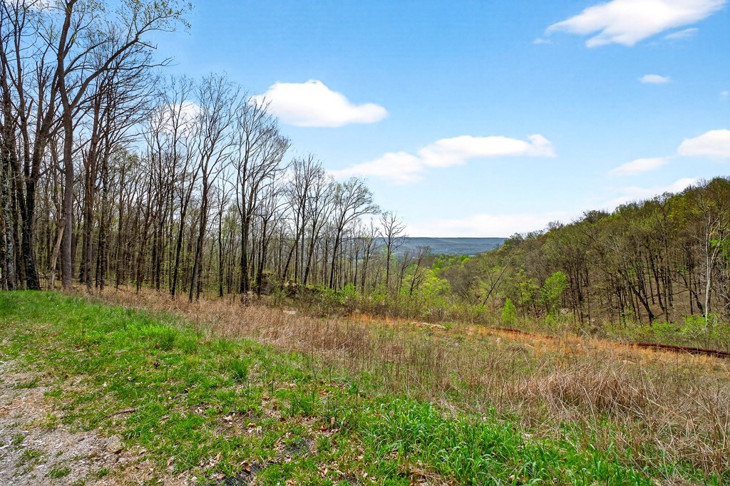 0 White Oak Flatt Road Sparta TN 38583