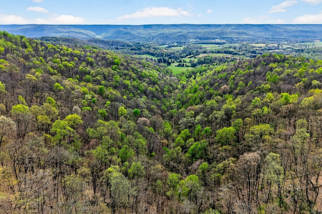 0 White Oak Flatt Road Sparta TN 38583