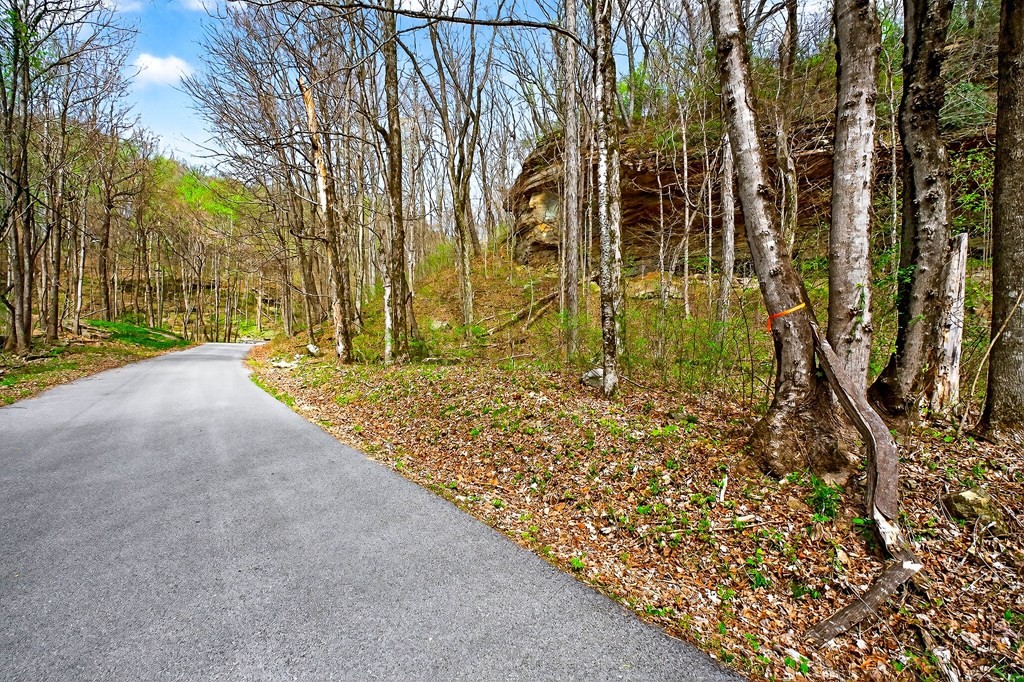 0 White Oak Flatt Road Sparta TN 38583