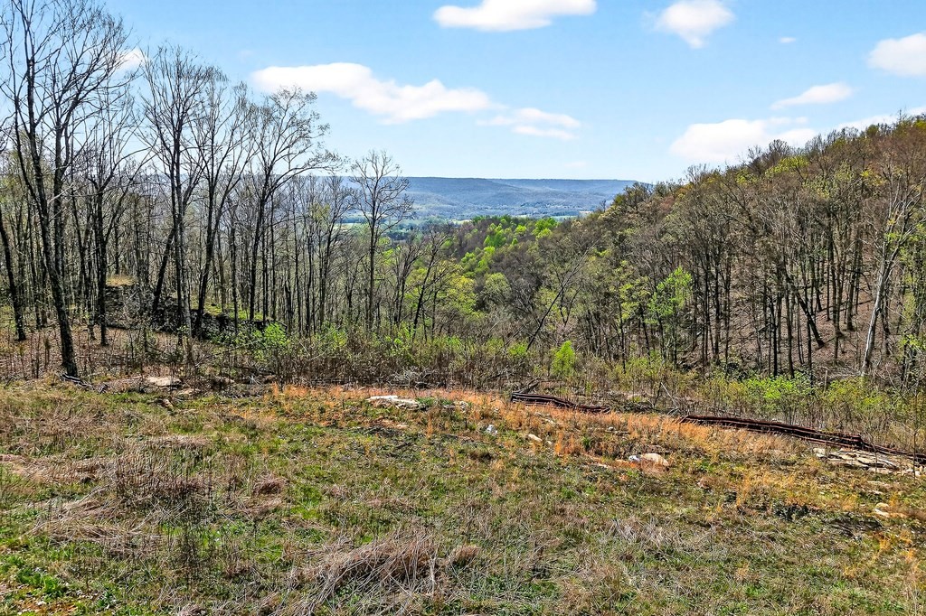 0 White Oak Flatt Road Sparta TN 38583