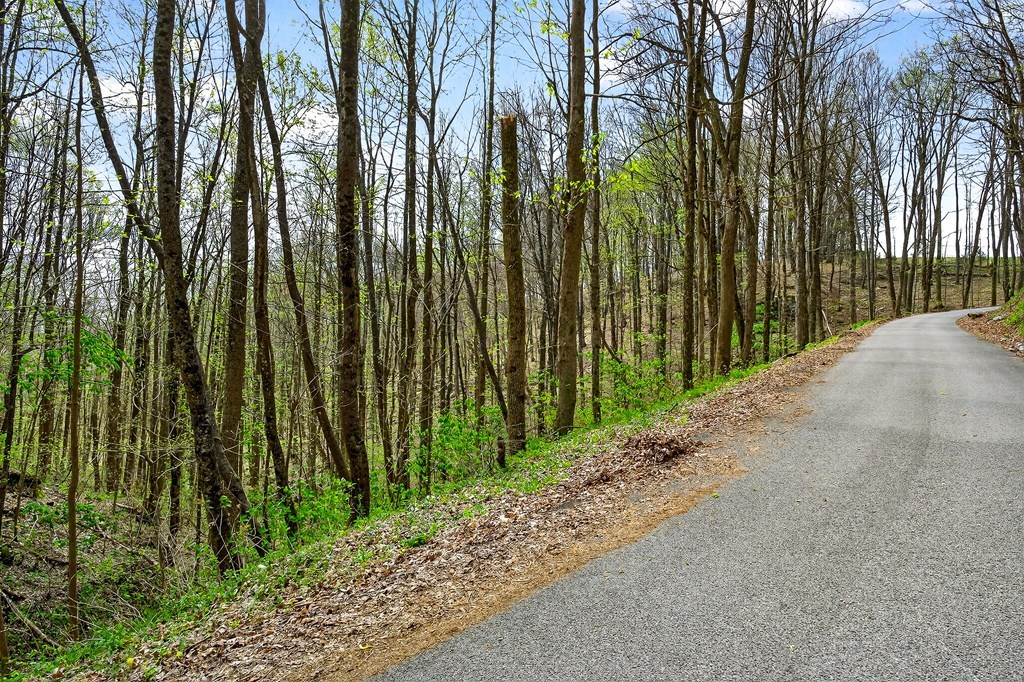 0 White Oak Flatt Road Sparta TN 38583
