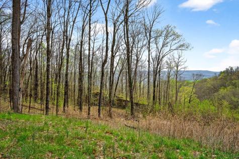 0 White Oak Flatt Road Sparta TN 38583