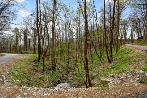 0 White Oak Flatt Road Sparta TN 38583