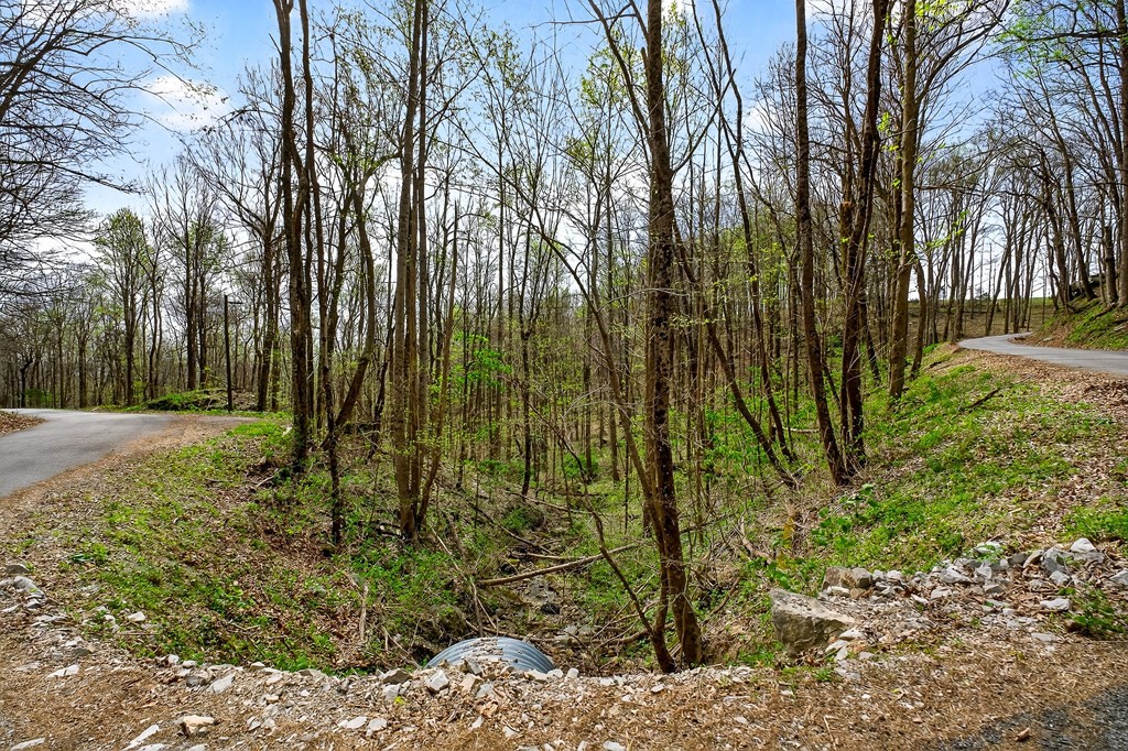 0 White Oak Flatt Road Sparta TN 38583