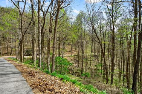 0 White Oak Flatt Road Sparta TN 38583