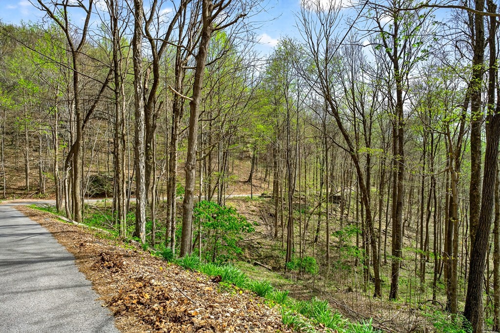 0 White Oak Flatt Road Sparta TN 38583