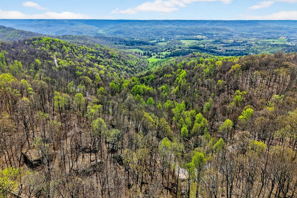 0 White Oak Flatt Road Sparta TN 38583