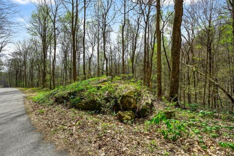 0 White Oak Flatt Road Sparta TN 38583