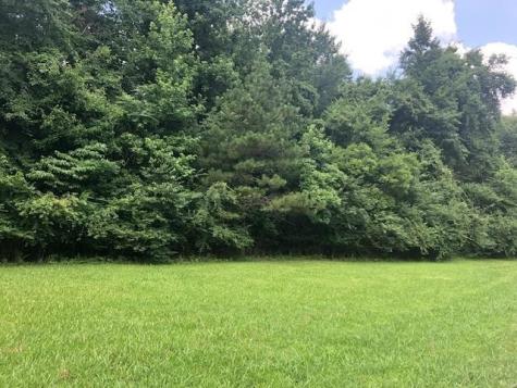 0 Lynnwood Cove Adamsville TN 38310