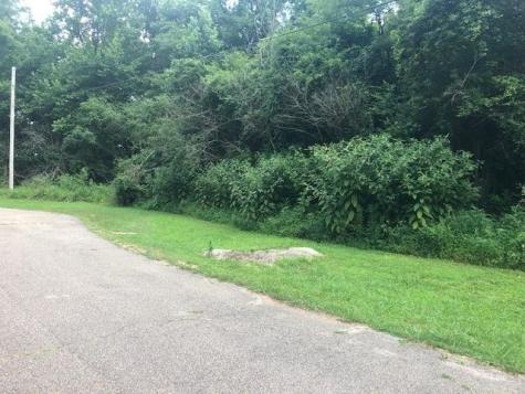 0 Lynnwood Cove Adamsville TN 38310