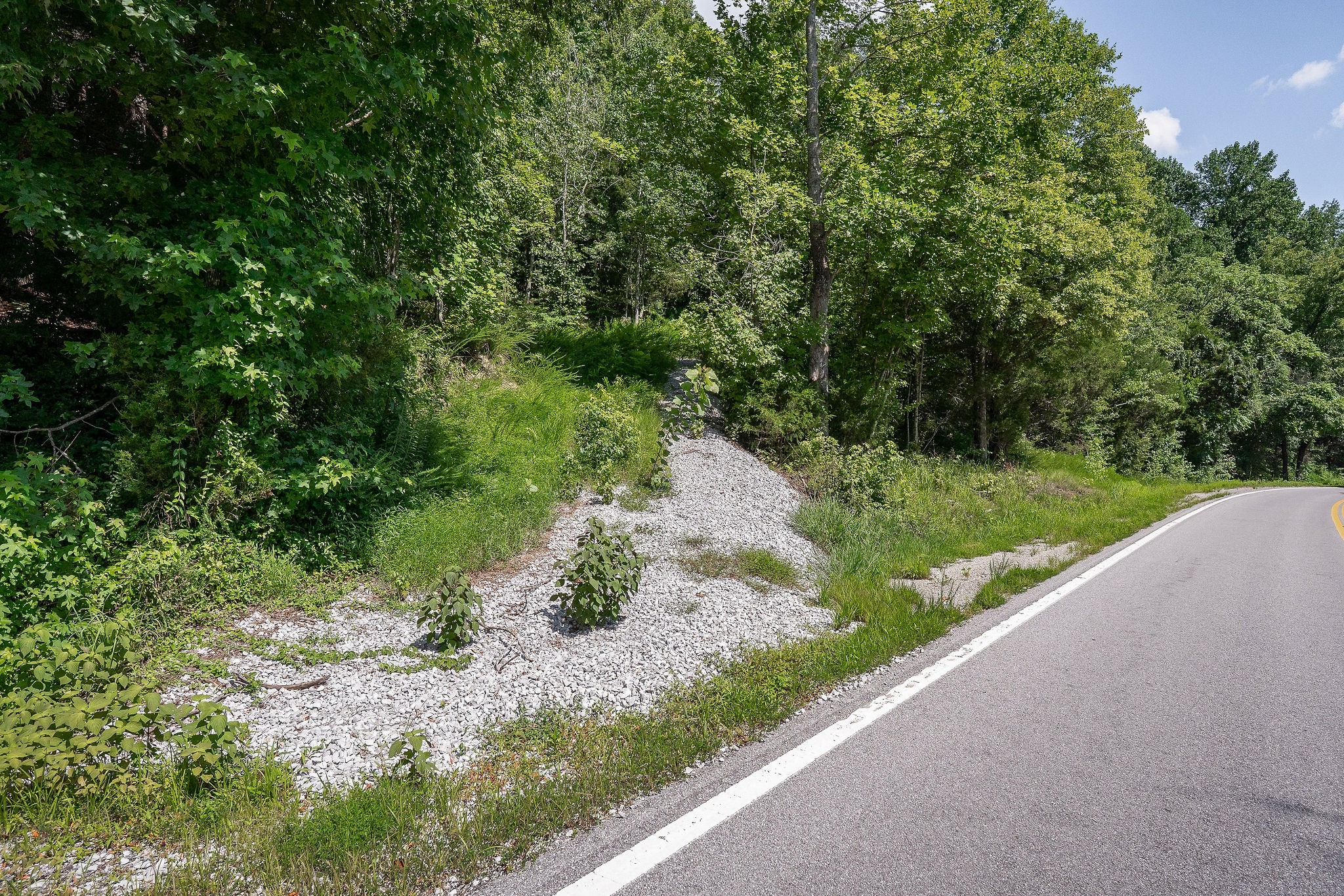 0 Buffalo Valley Road Silver Point TN 38582