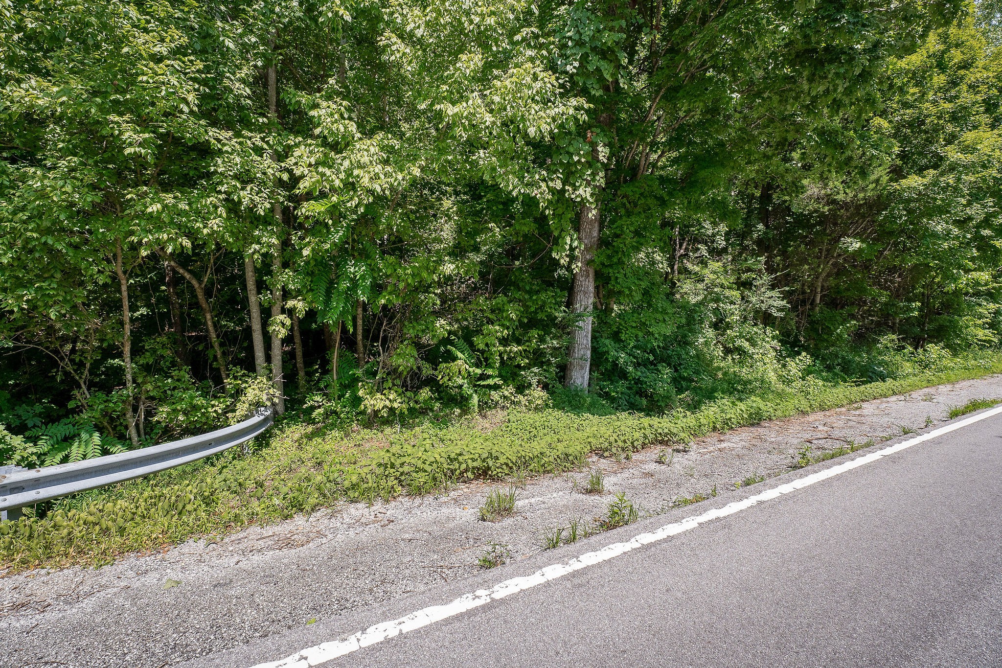 0 Buffalo Valley Road Silver Point TN 38582
