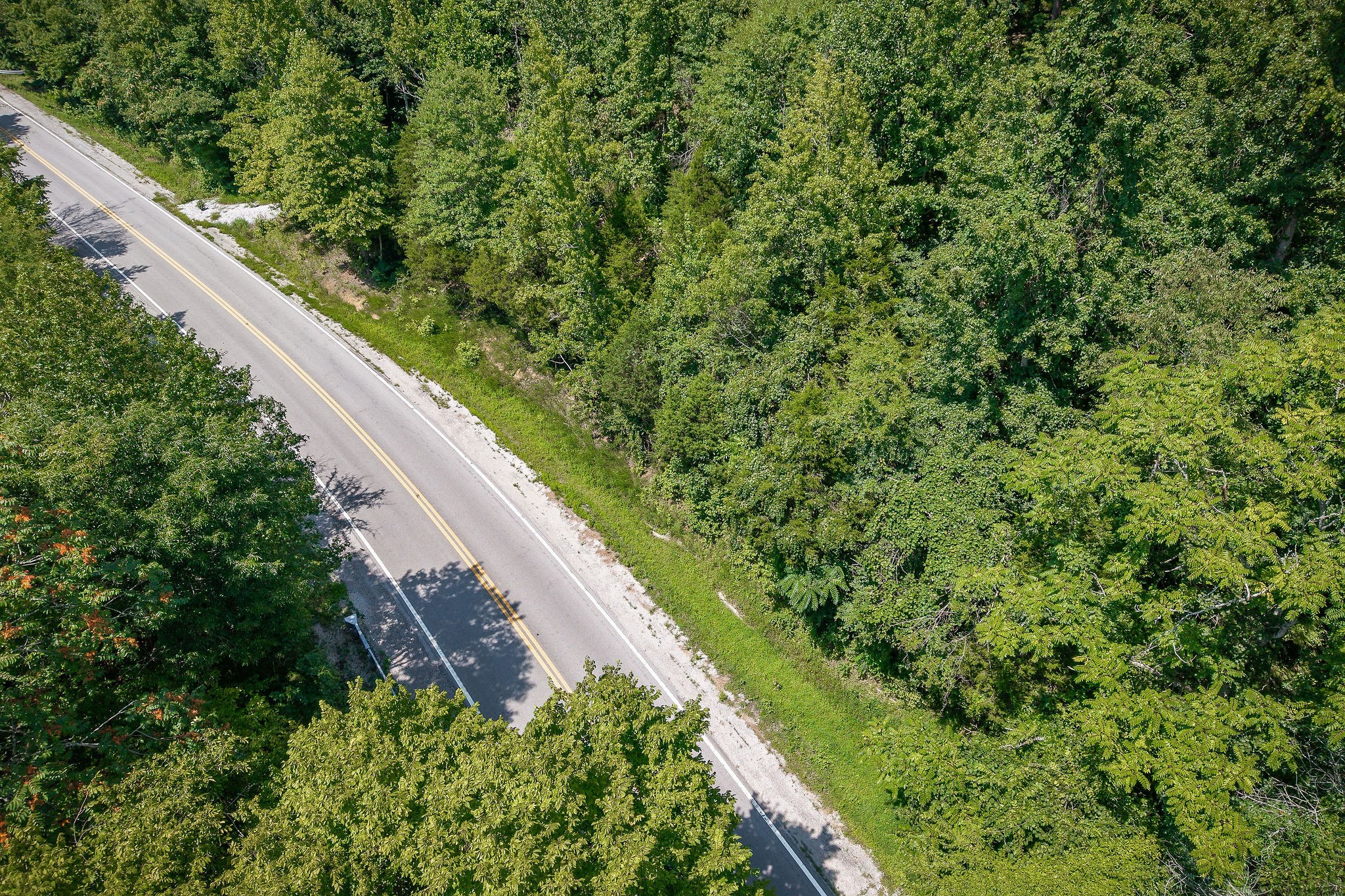 0 Buffalo Valley Road Silver Point TN 38582