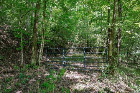 0 Buffalo Valley Road Silver Point TN 38582