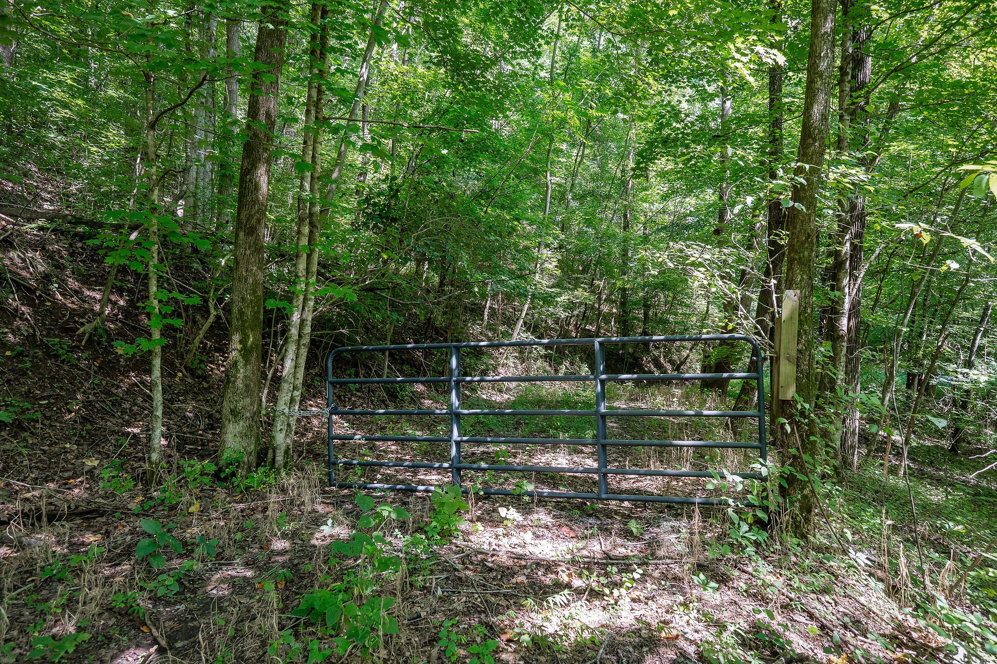 0 Buffalo Valley Road Silver Point TN 38582