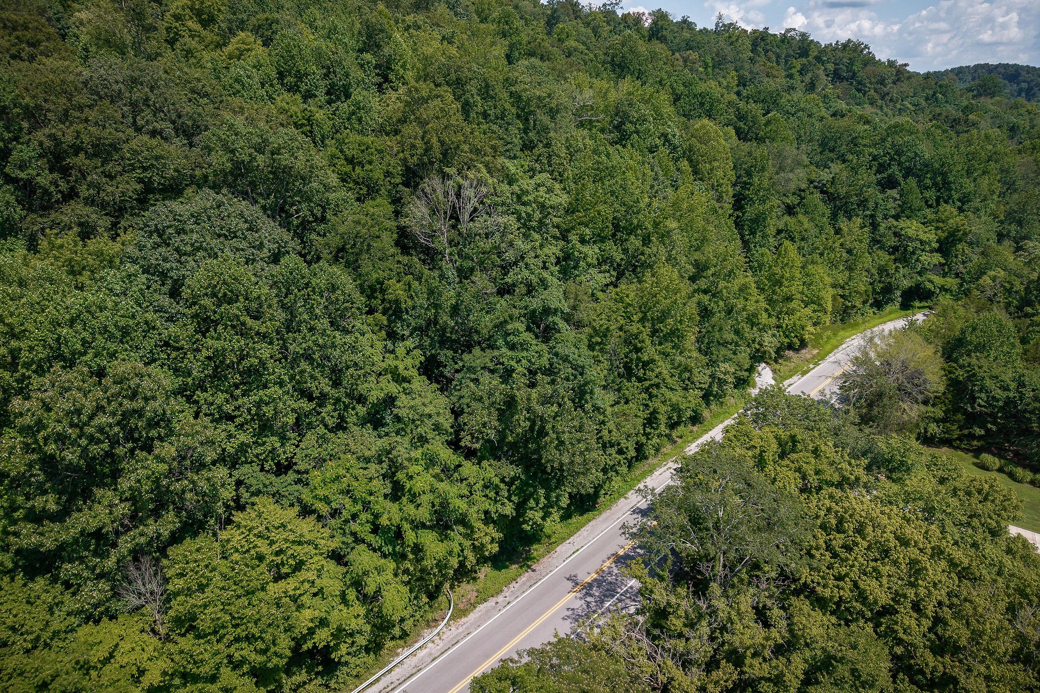 0 Buffalo Valley Road Silver Point TN 38582