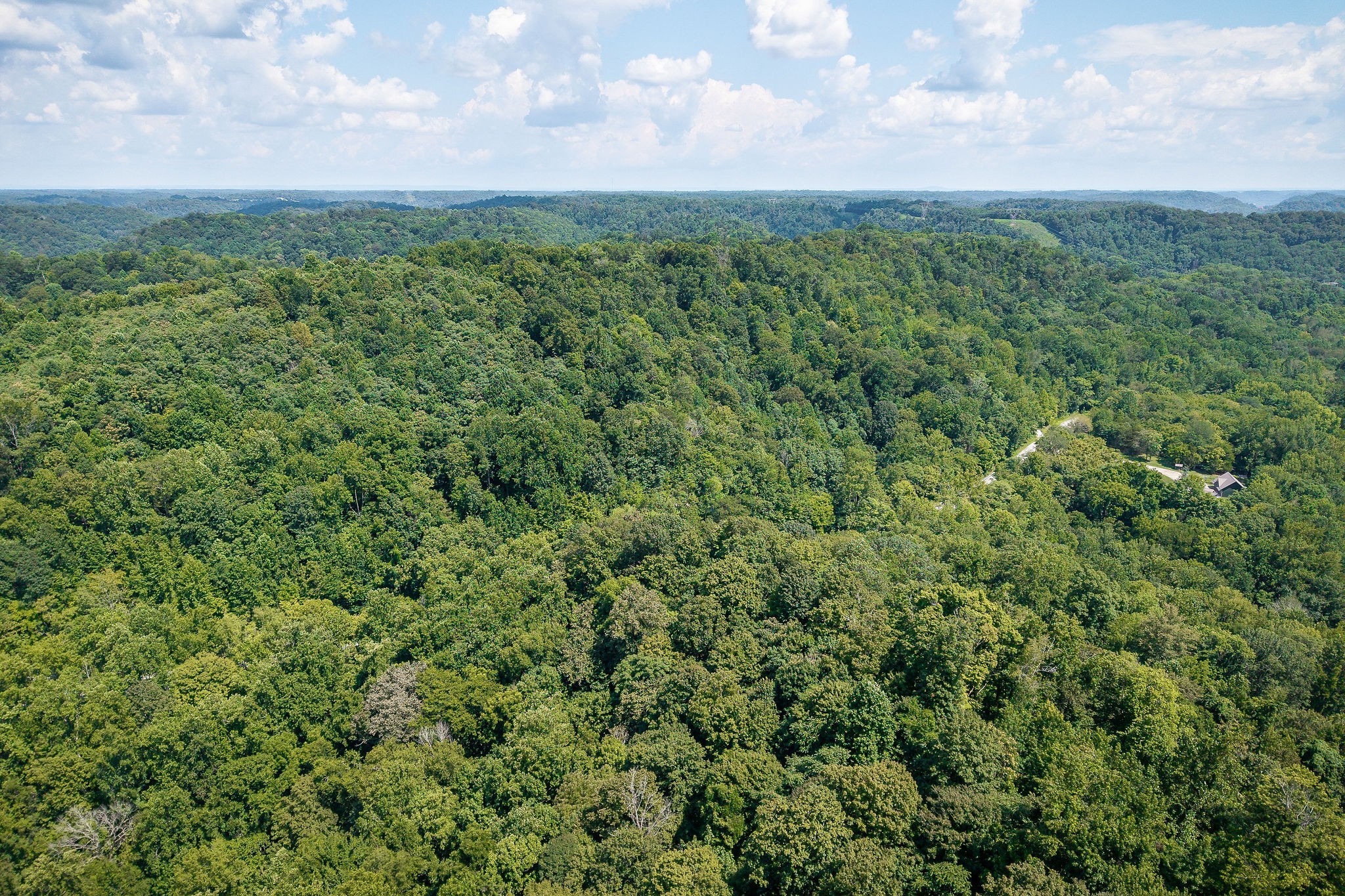 0 Buffalo Valley Road Silver Point TN 38582