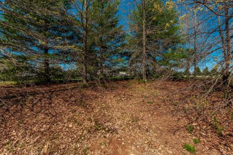 170 N Leath Road Portland TN 37148