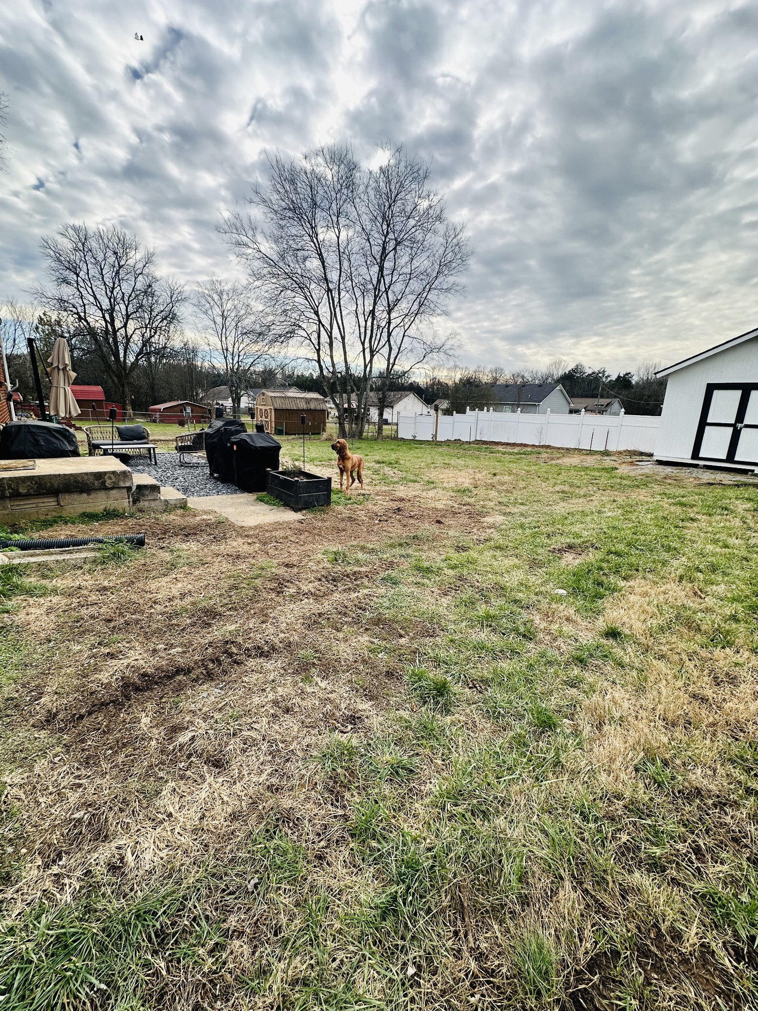 1110 Mecanico Trail Lewisburg TN 37091