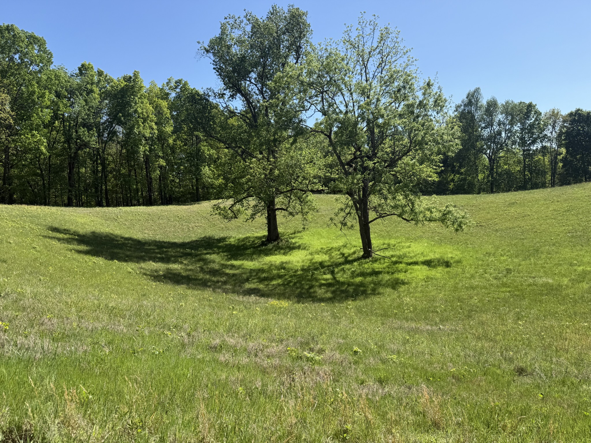 540 Powell Hollow Road Tullahoma TN 37388