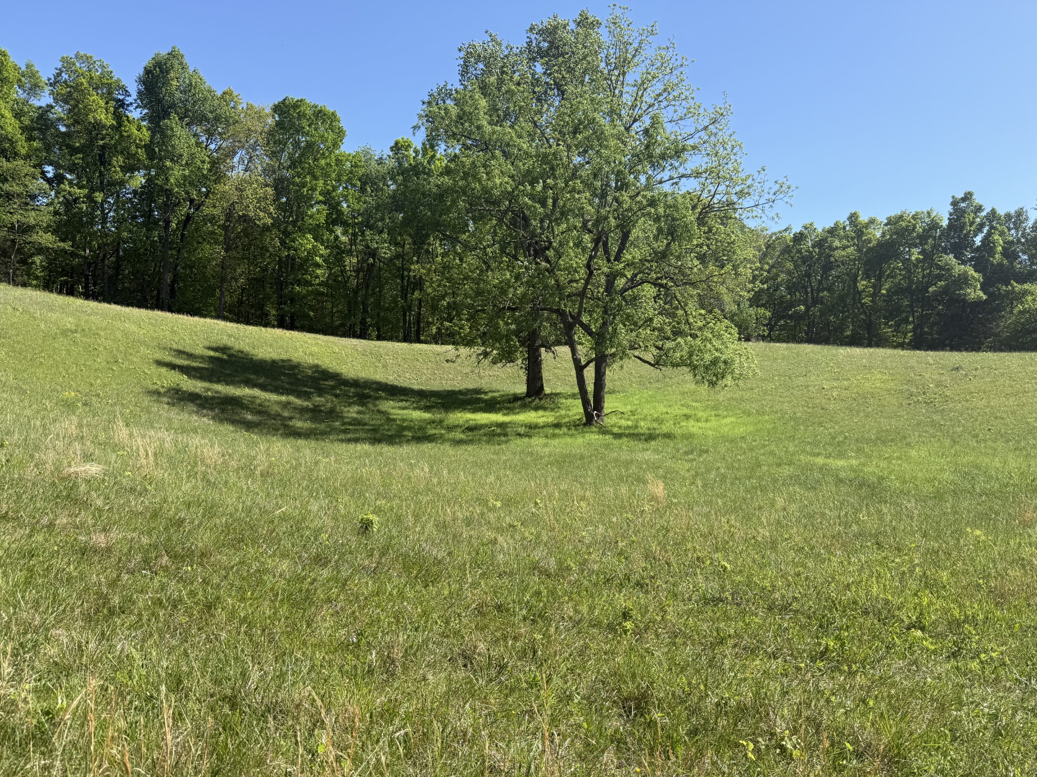 540 Powell Hollow Road Tullahoma TN 37388
