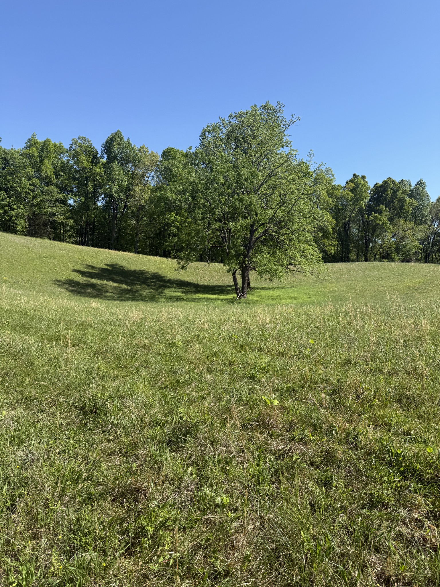 540 Powell Hollow Road Tullahoma TN 37388