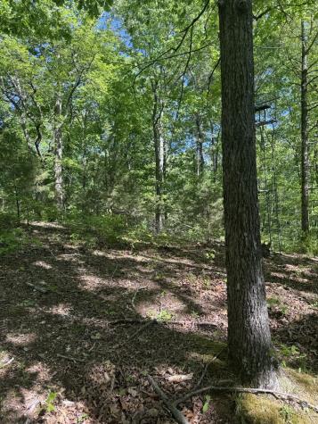 540 Powell Hollow Road Tullahoma TN 37388