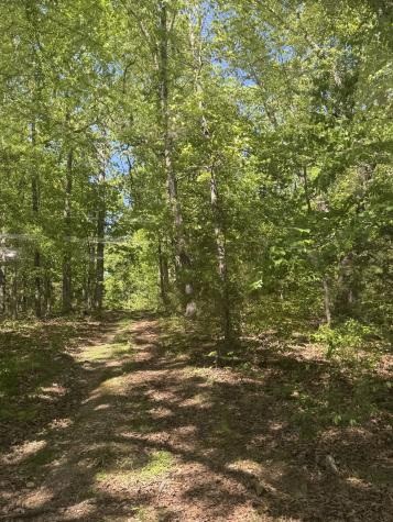 540 Powell Hollow Road Tullahoma TN 37388