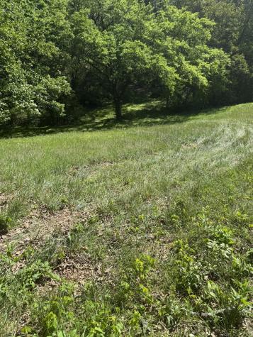 540 Powell Hollow Road Tullahoma TN 37388